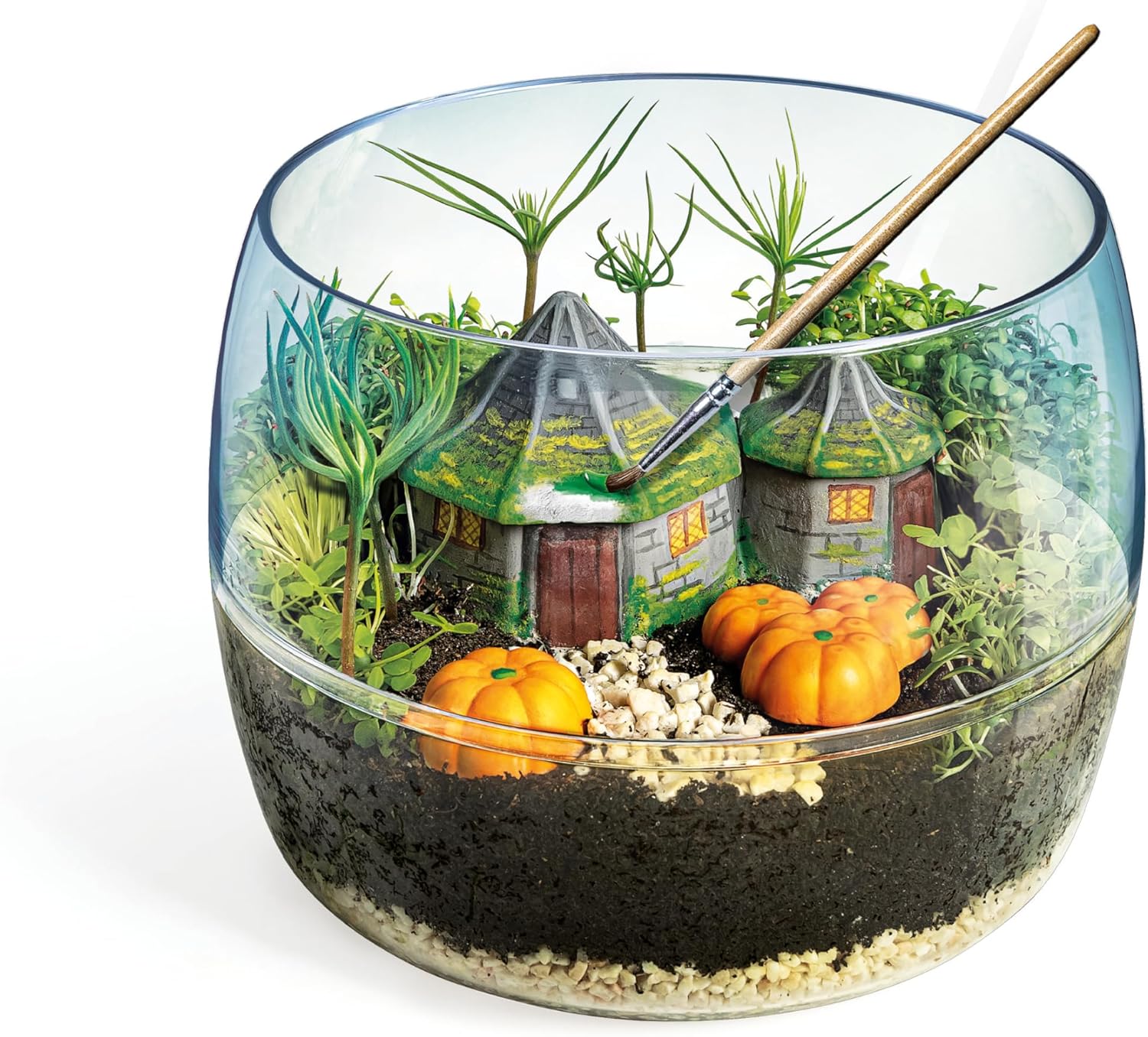 Clementoni Terrarium
