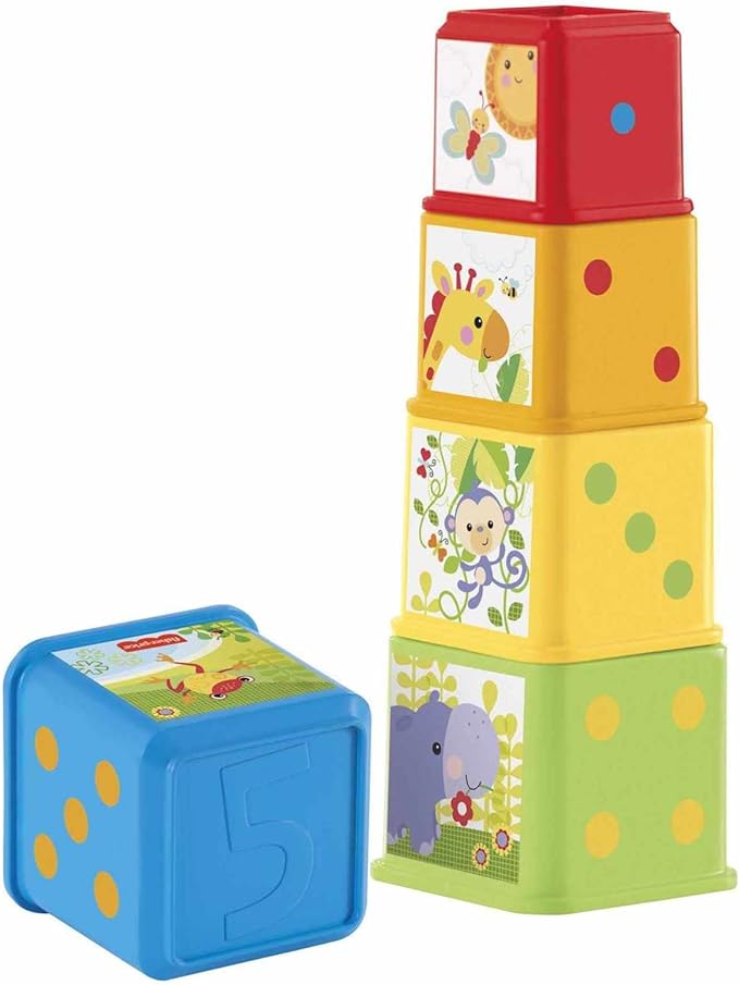 Fisher Price Stack and Explore Blocks
