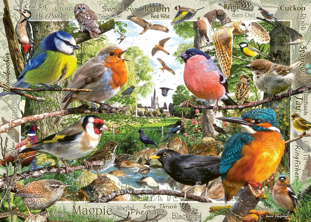 Our Feathered Friends 1000 Piece Jigsaw Puzzle