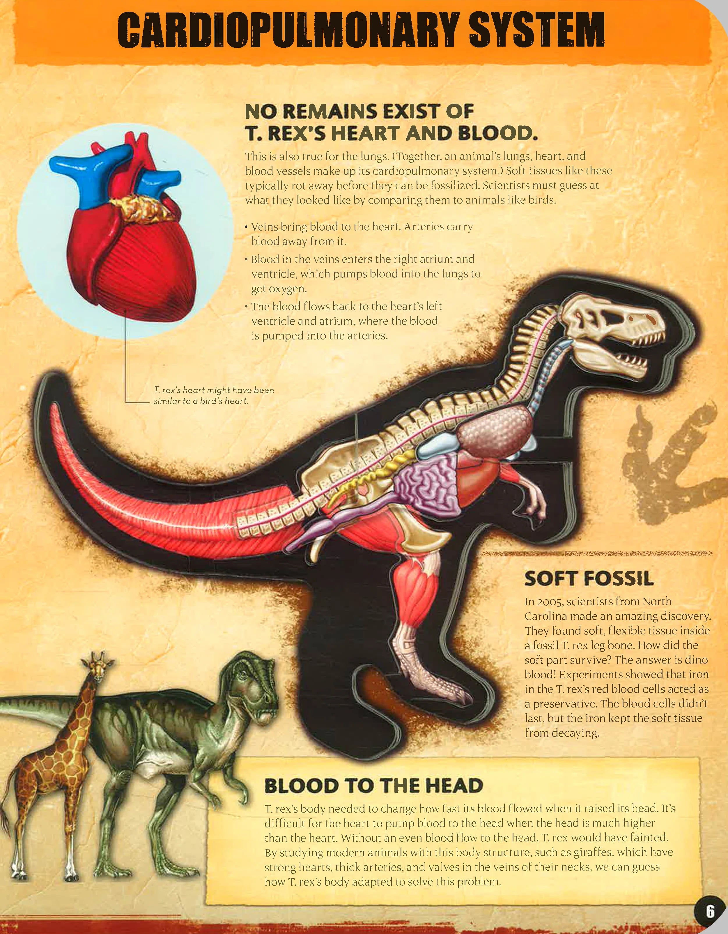 Inside Out T-Rex Book