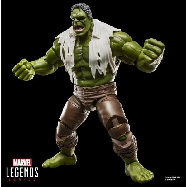 Spider-man Brand New Day Legend Series Hulk