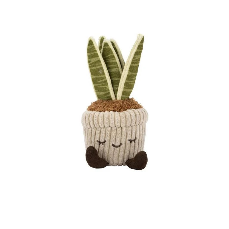 Greenhouse by Russ - Tyler the Snake Plant