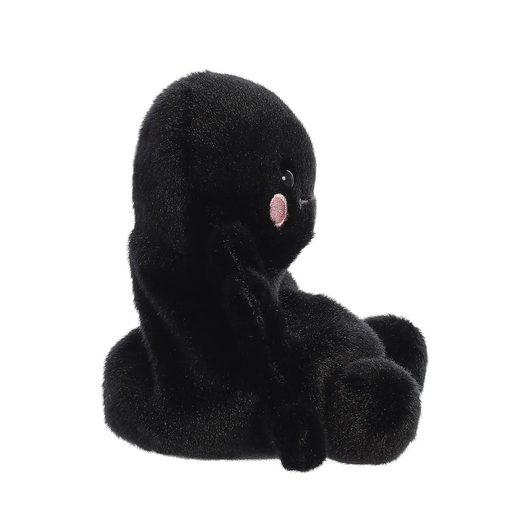 Palm Pets Penny Mae Spider 5In