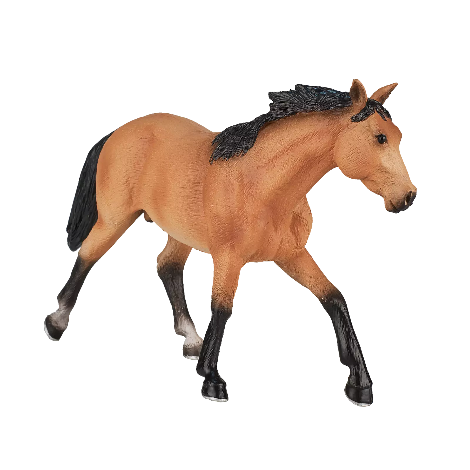 MOJO - Quarter Horse Buckskin