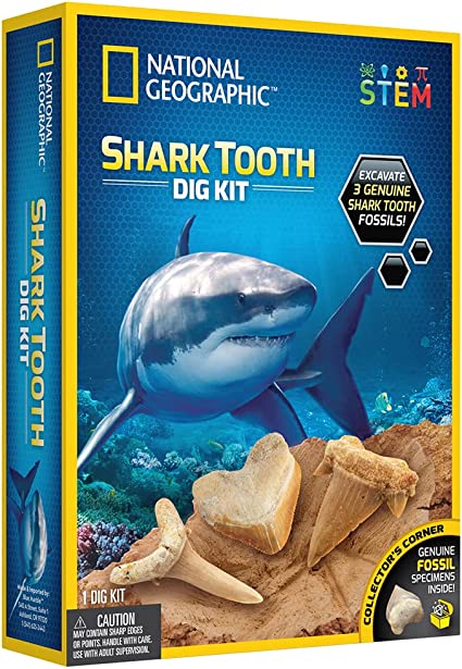 National Geographic Shark Tooth Dig Kit