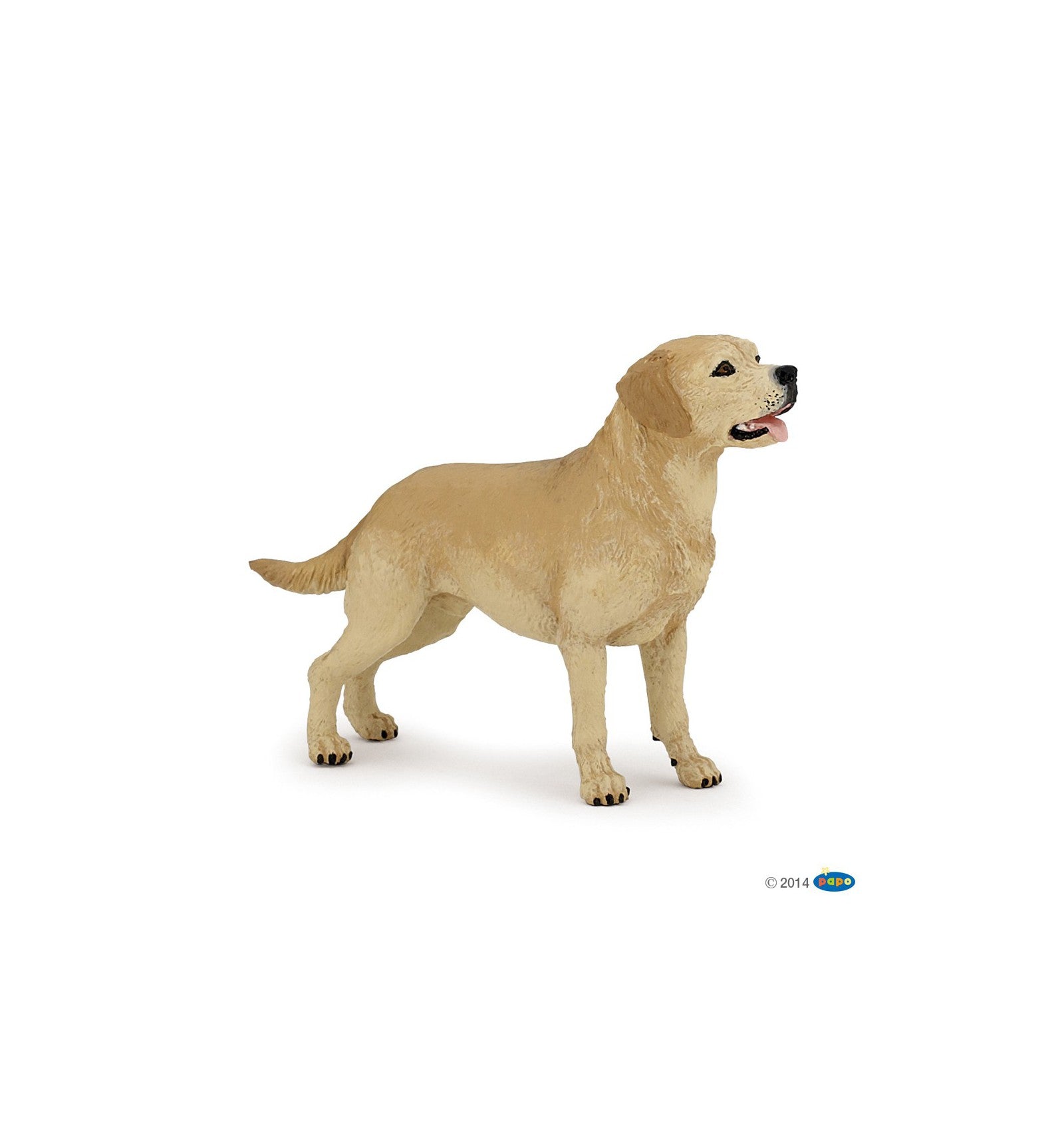 Papo Labrador
