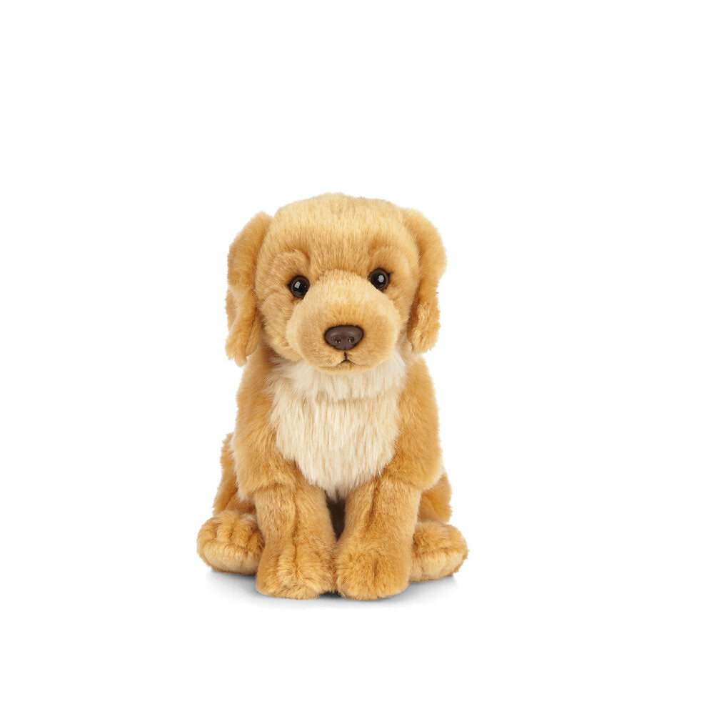 Living Nature Golden Retriever