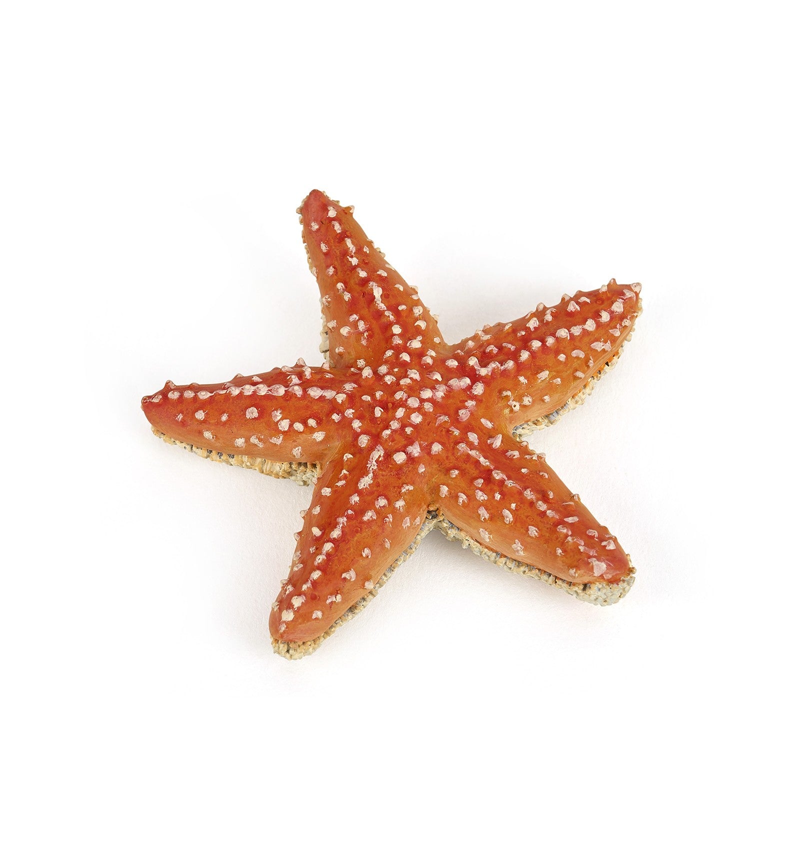 Papo Starfish