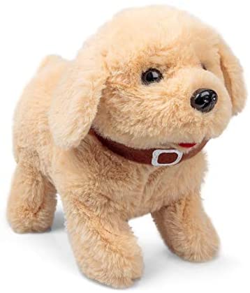 Amigos Flipping Labrador Puppy