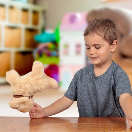 Amigos Flipping Labrador Puppy