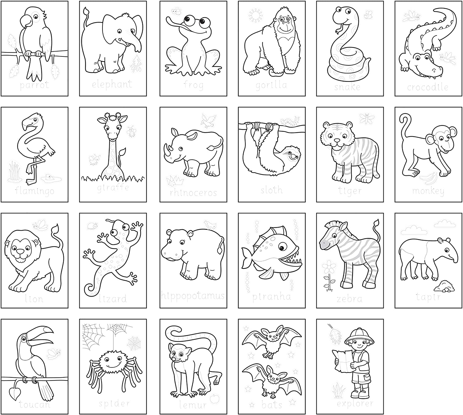 Orchard Jungle Colouring Book