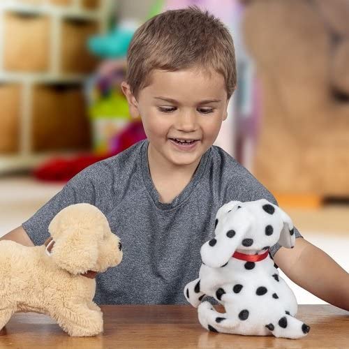 Amigos Flipping Labrador Puppy