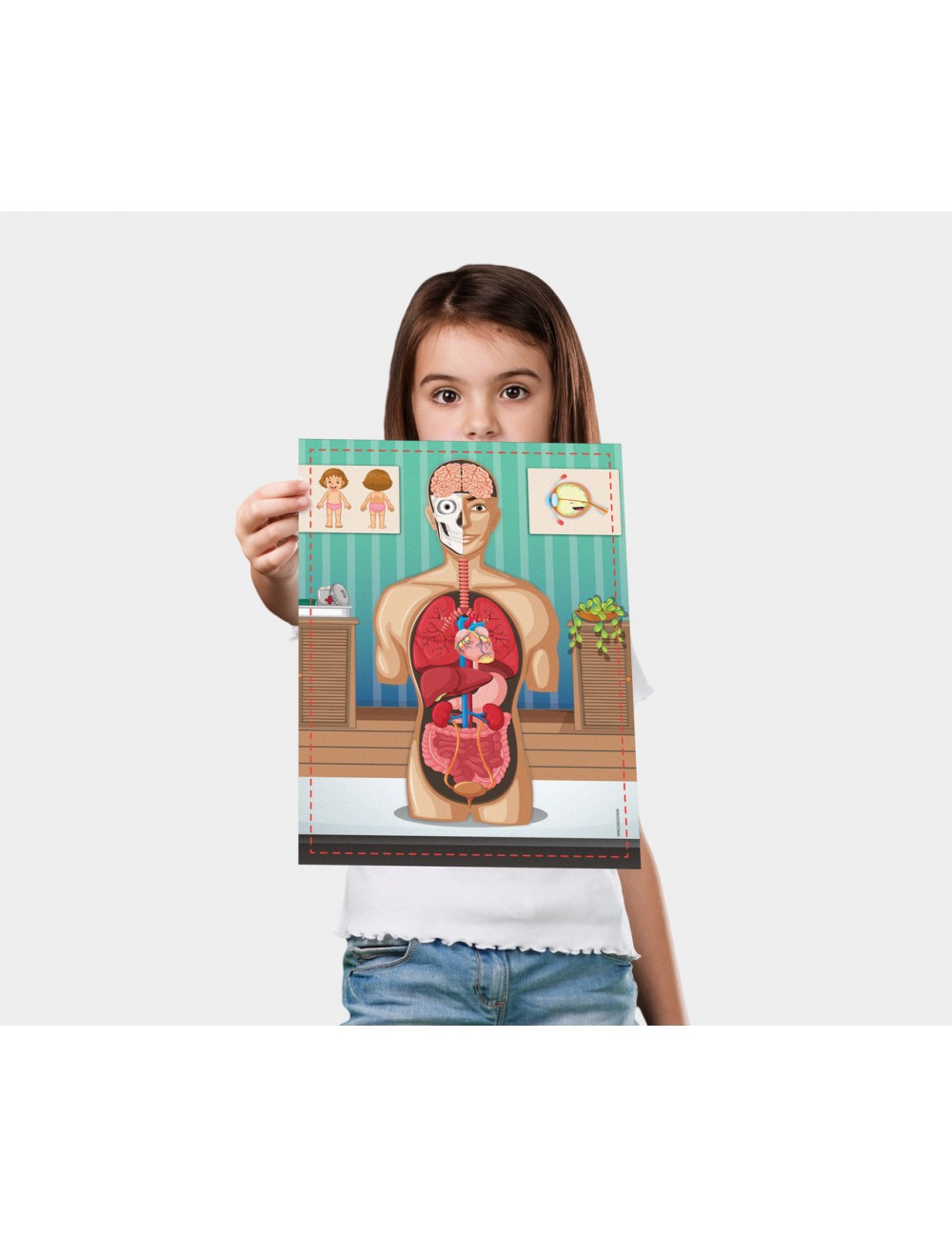 Science4You Human Body