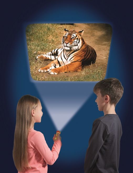 Animal Torch & Projector