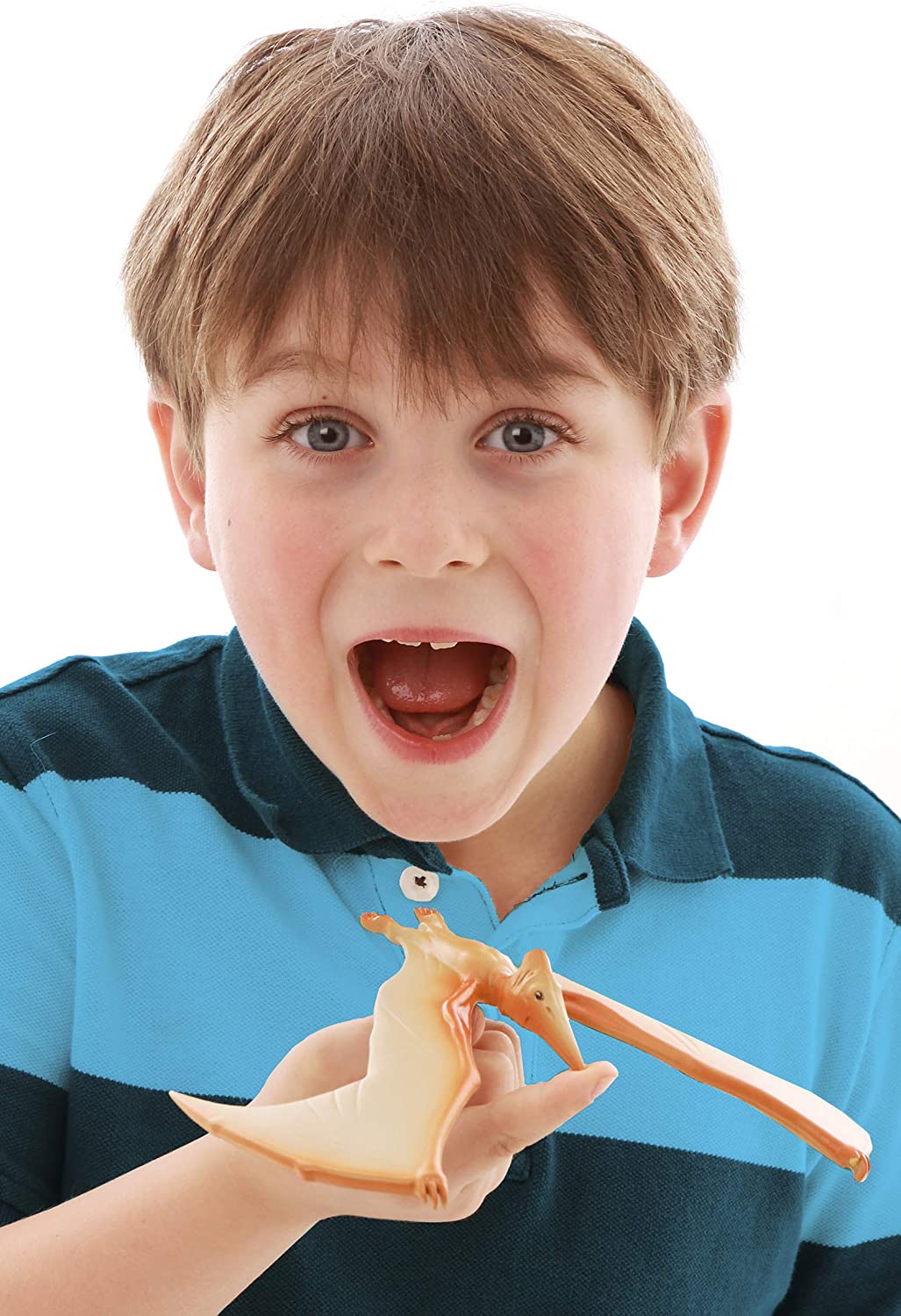 The Amazing Balancing Pteranodon