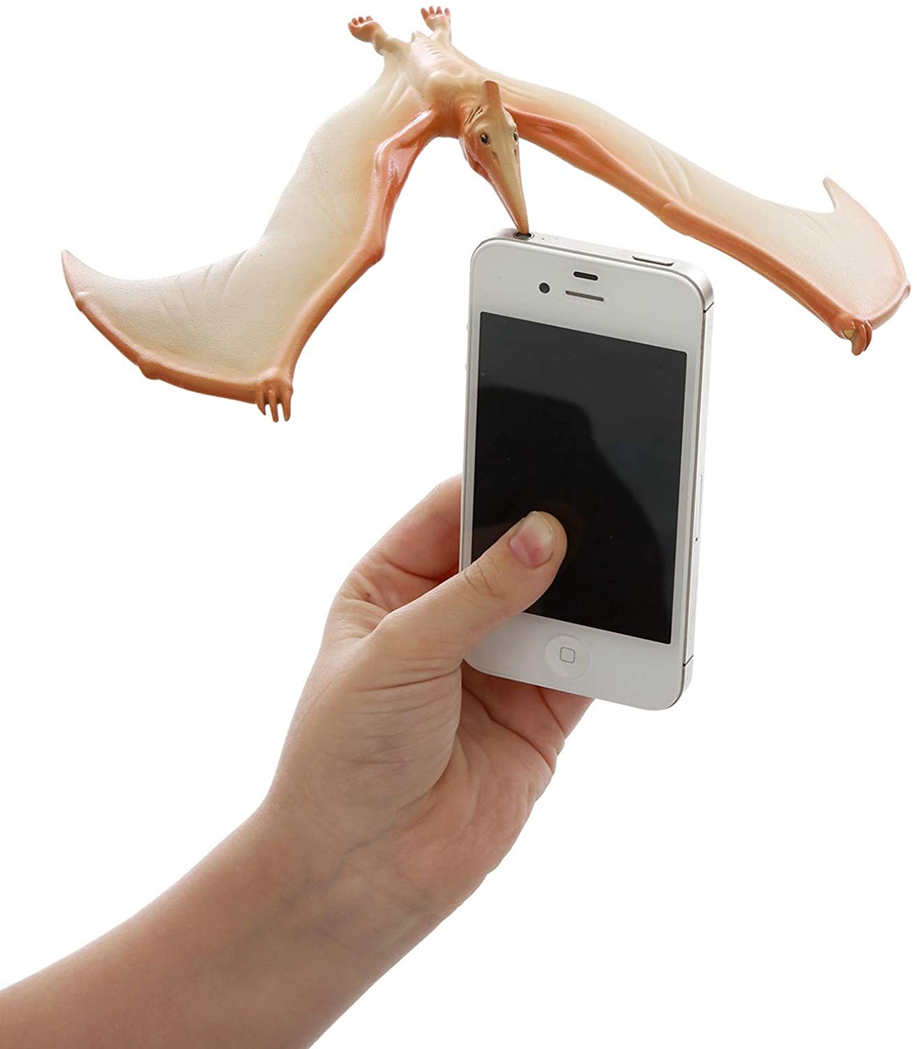 The Amazing Balancing Pteranodon