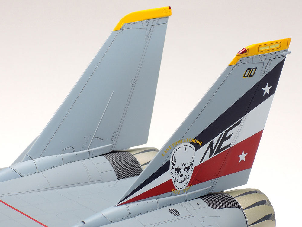 Tamiya 1/48 F-14D Tomcat