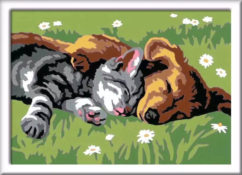 CreArt Paint by Numbers - Sleeping Cats and Dogs