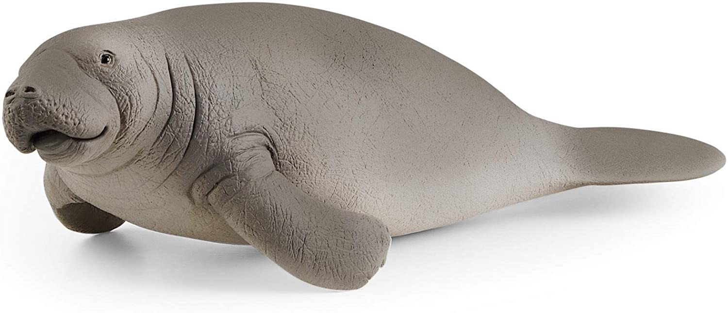 Schleich Manatee