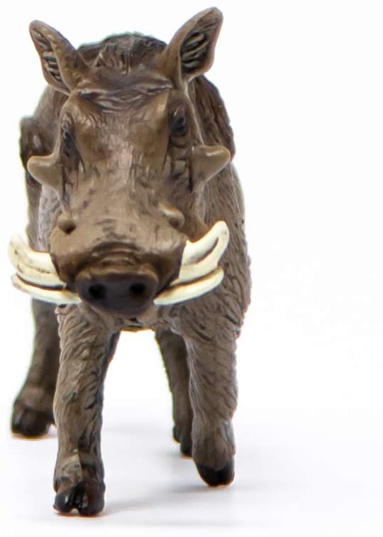 Schleich Wild Life Warthog