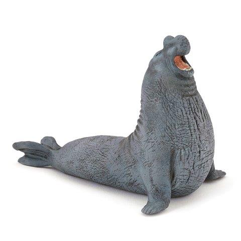 Elephant seal