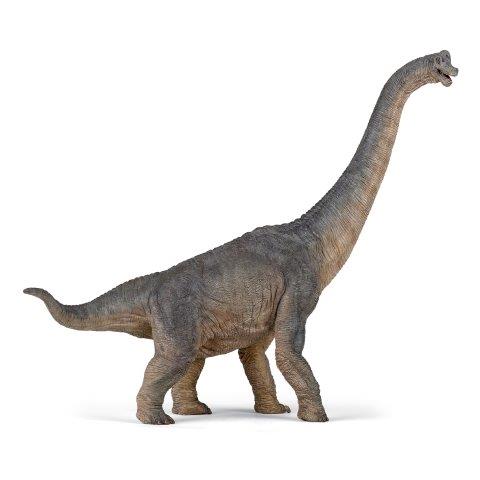Brachiosaurus