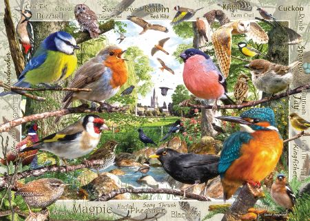 Ravensburger Our Feathered Friends 1000 Piece