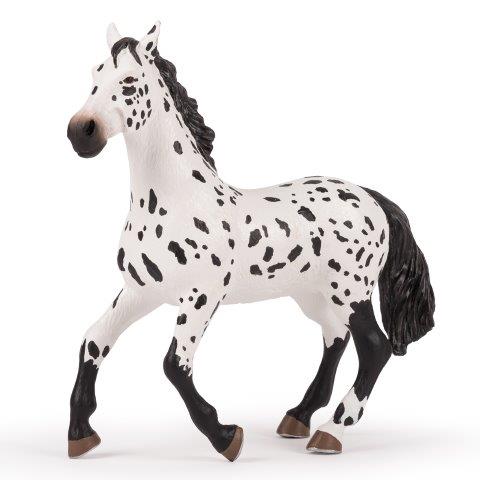 Large Appaloosa horse