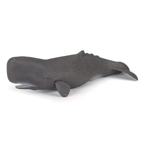 Sperm whale