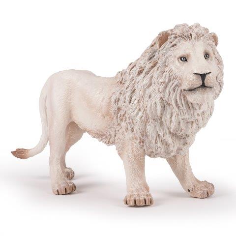 Large white lion