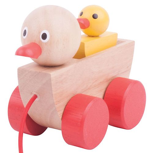 Duck & Duckling