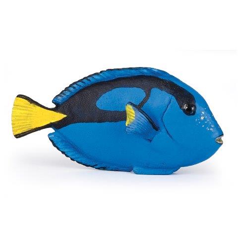 Papo Surgeonfish