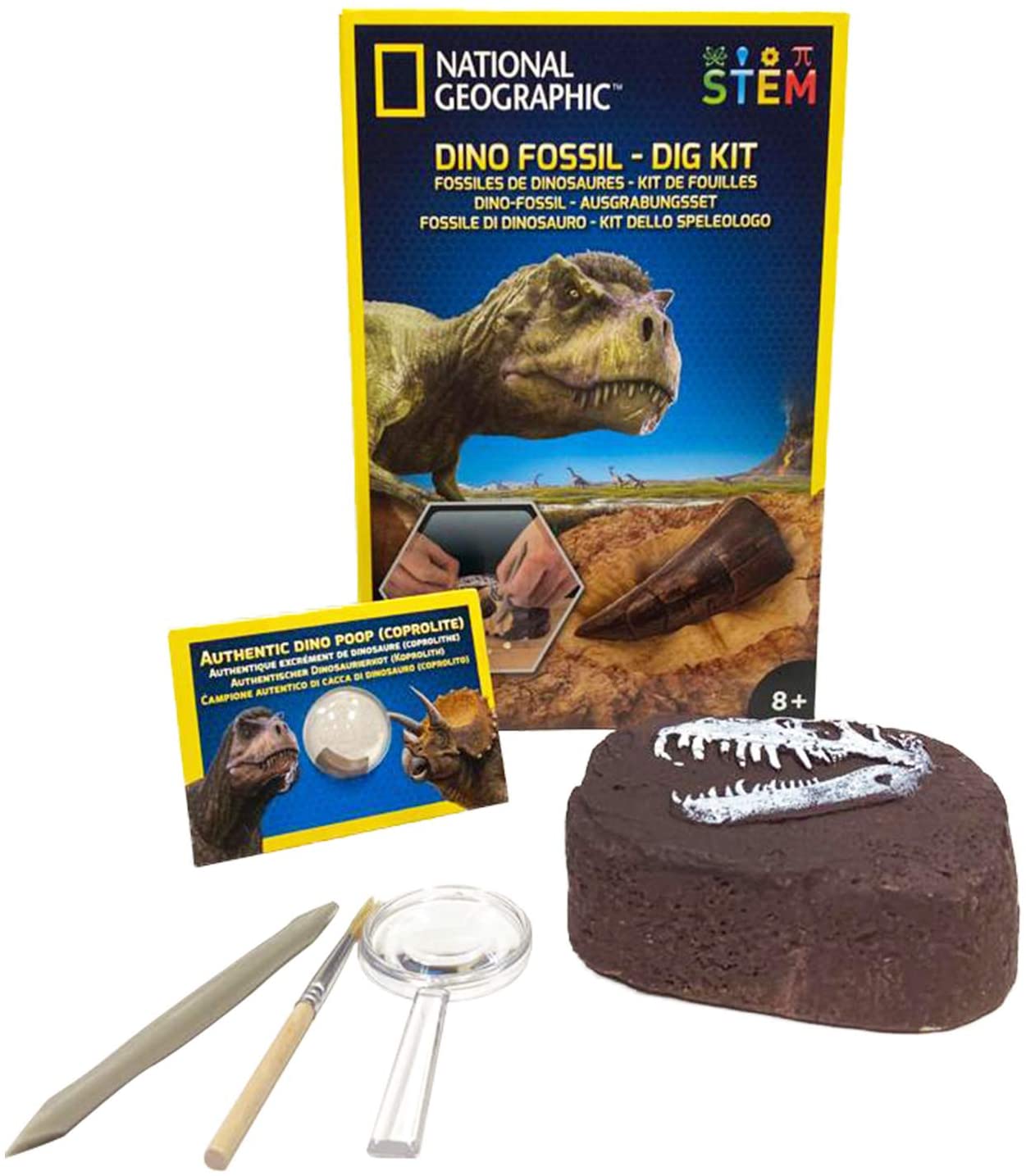 National Geographic Dino Fossil Dig Kit