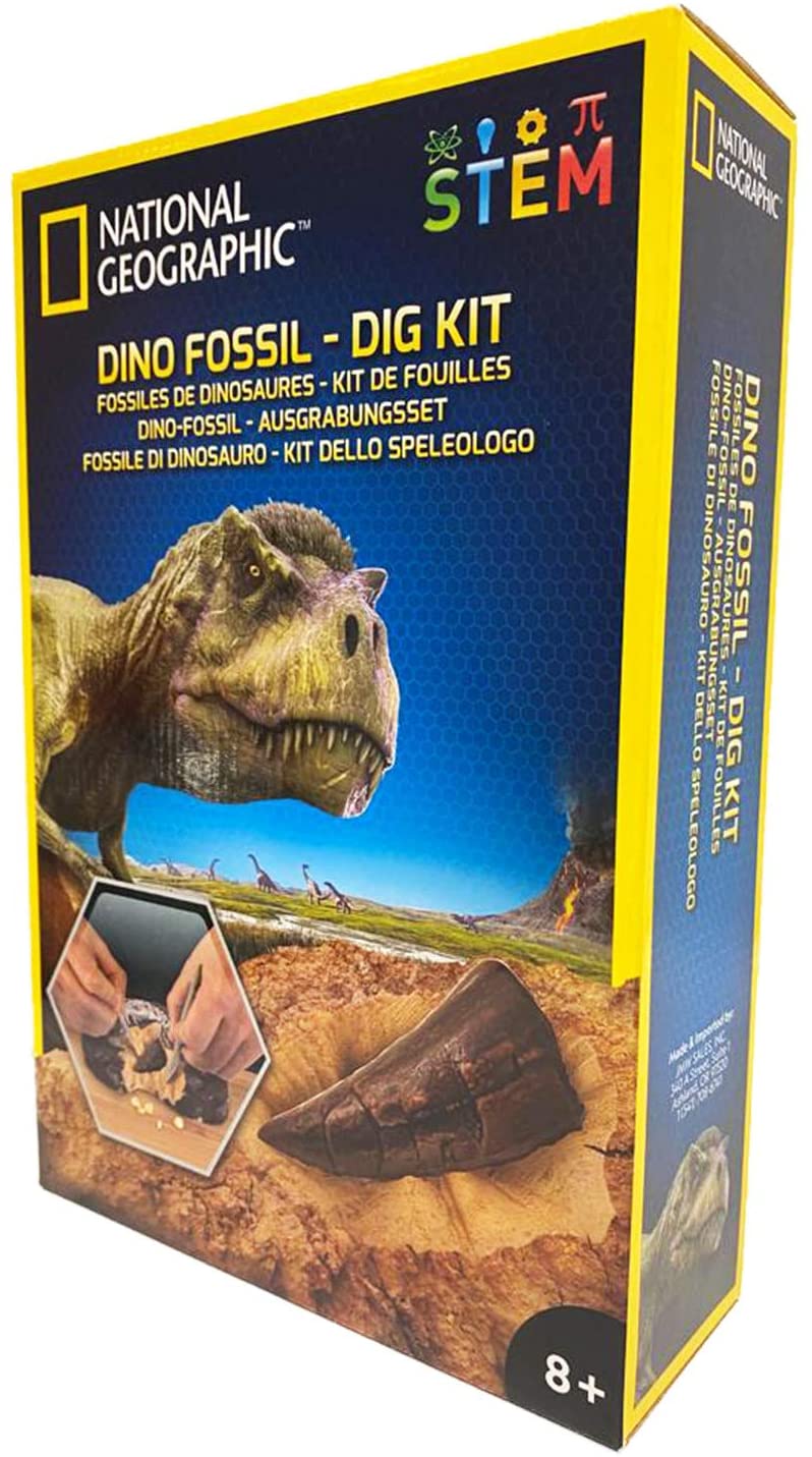 National Geographic Dino Fossil Dig Kit