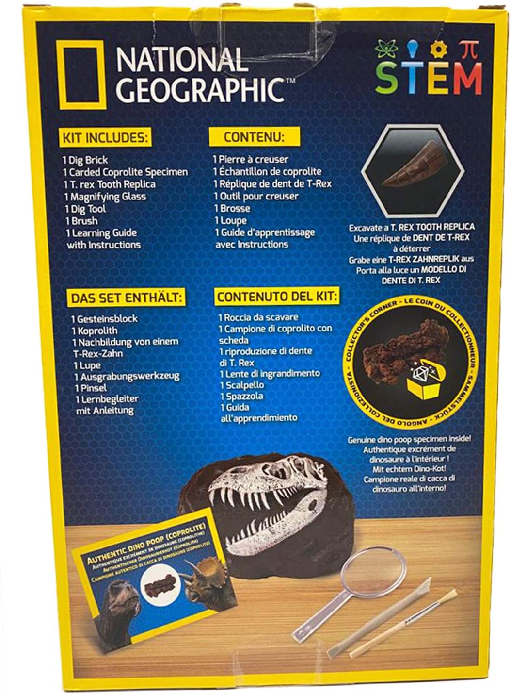 National Geographic Dino Fossil Dig Kit