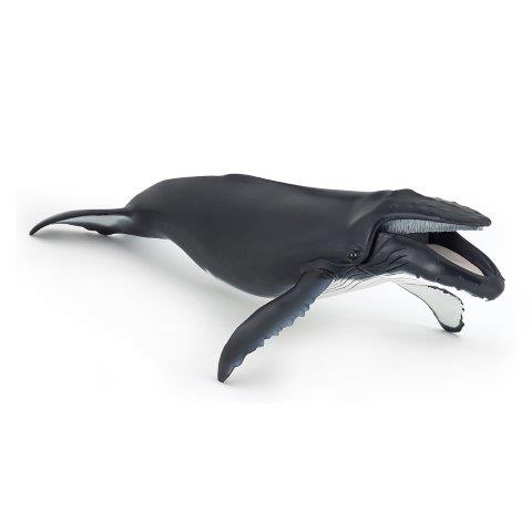 Papo Humpback whale
