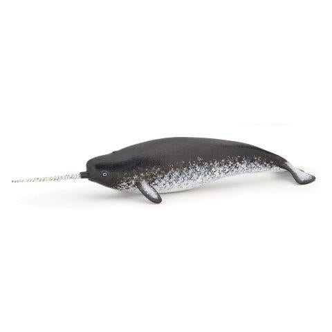Narwhal
