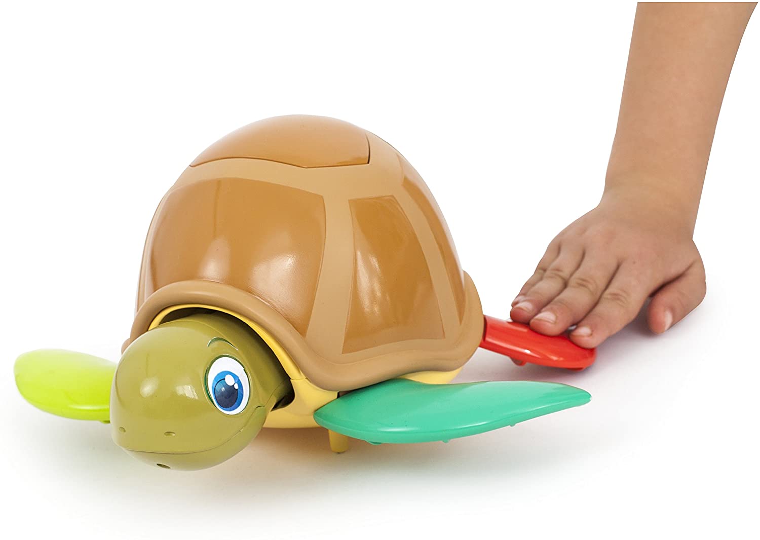 Turtle Fun Game