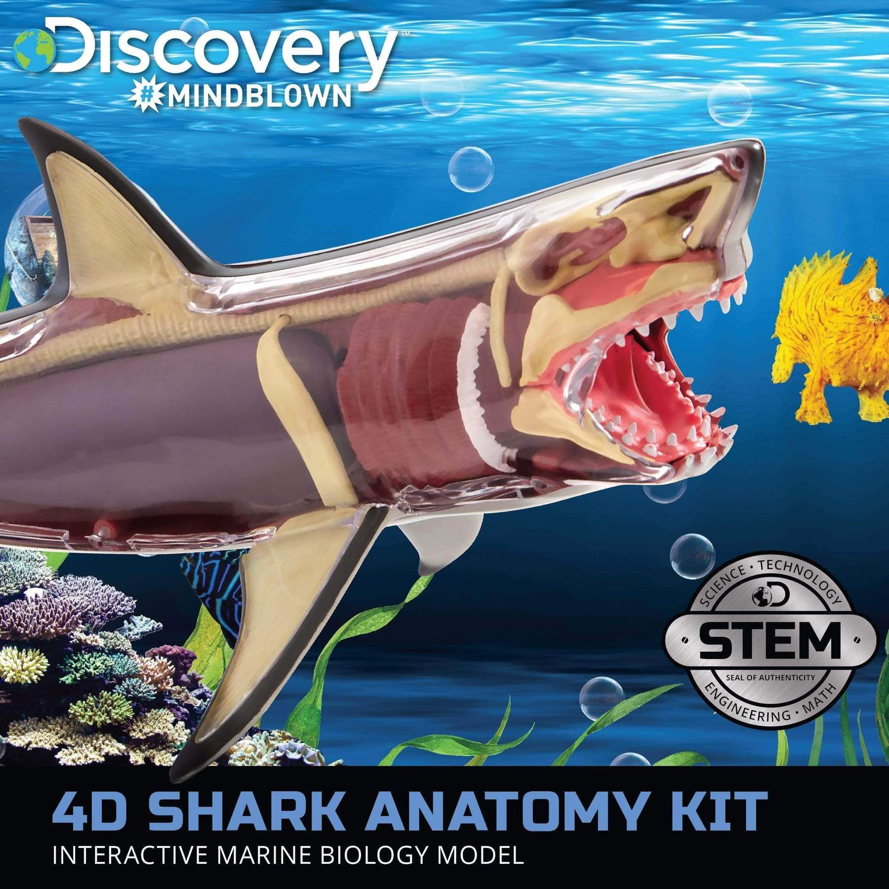 4D Shark Anatomy Kit