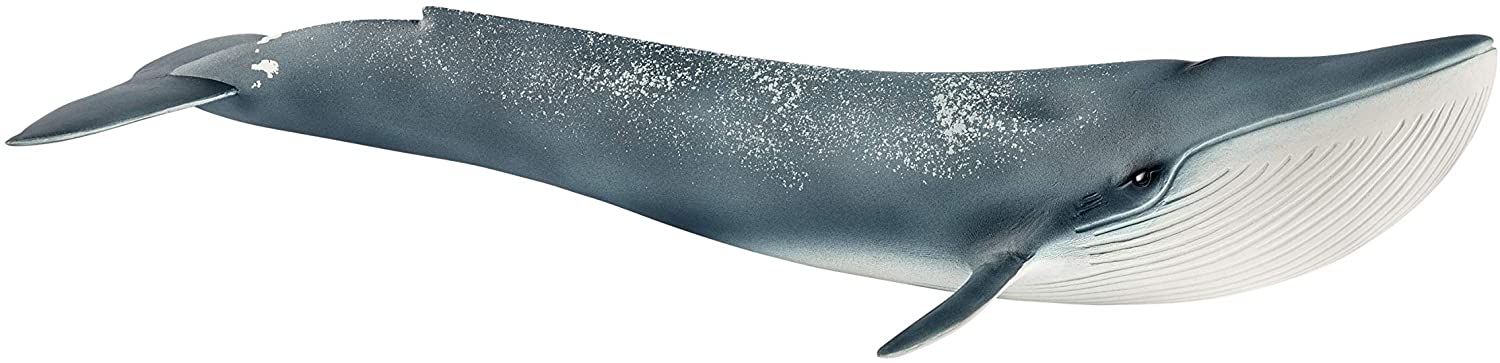 Schleich Blue Whale