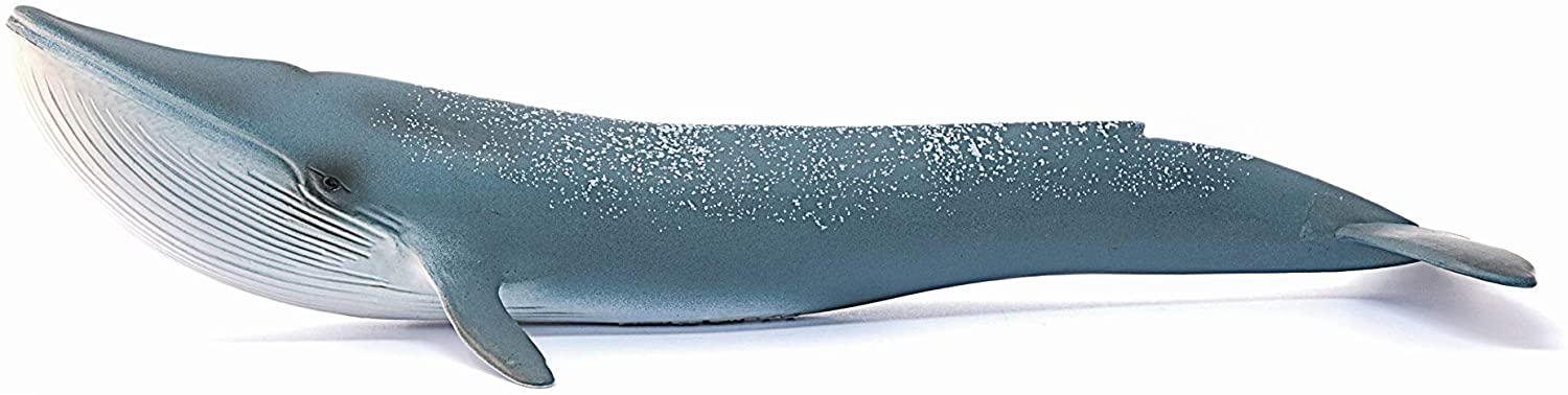 Schleich Blue Whale