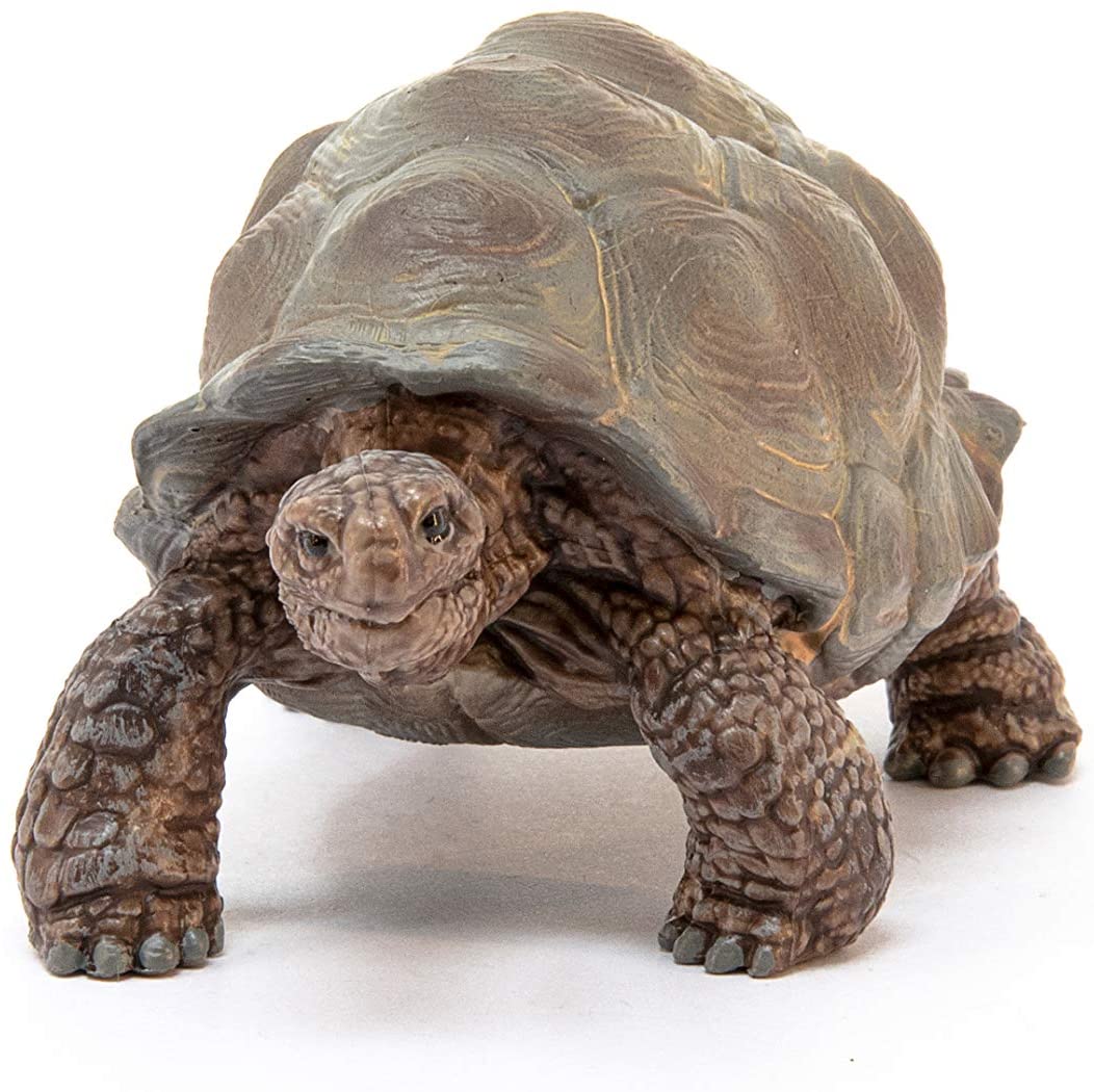 Schleich Grand Tortoise