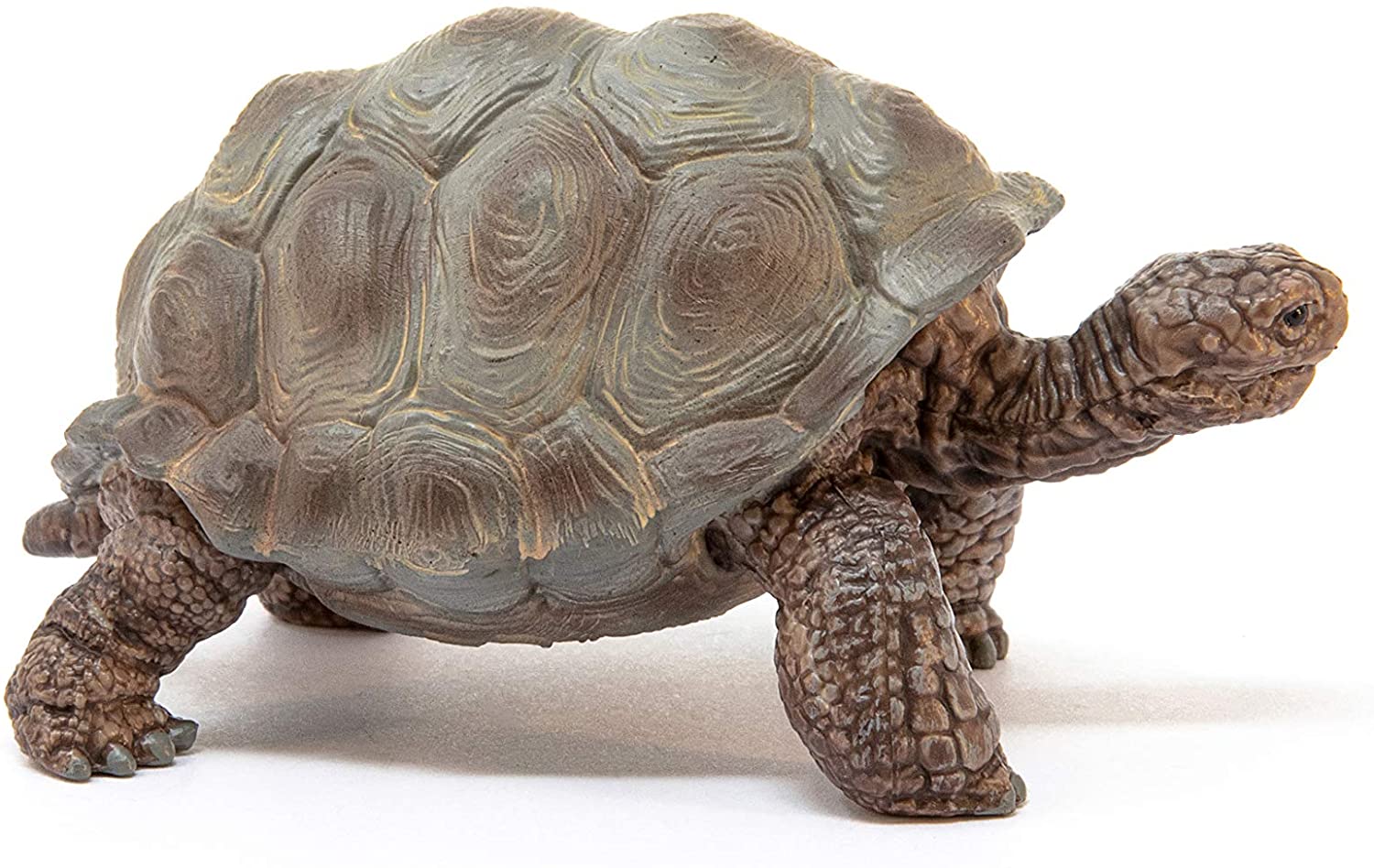 Schleich Grand Tortoise