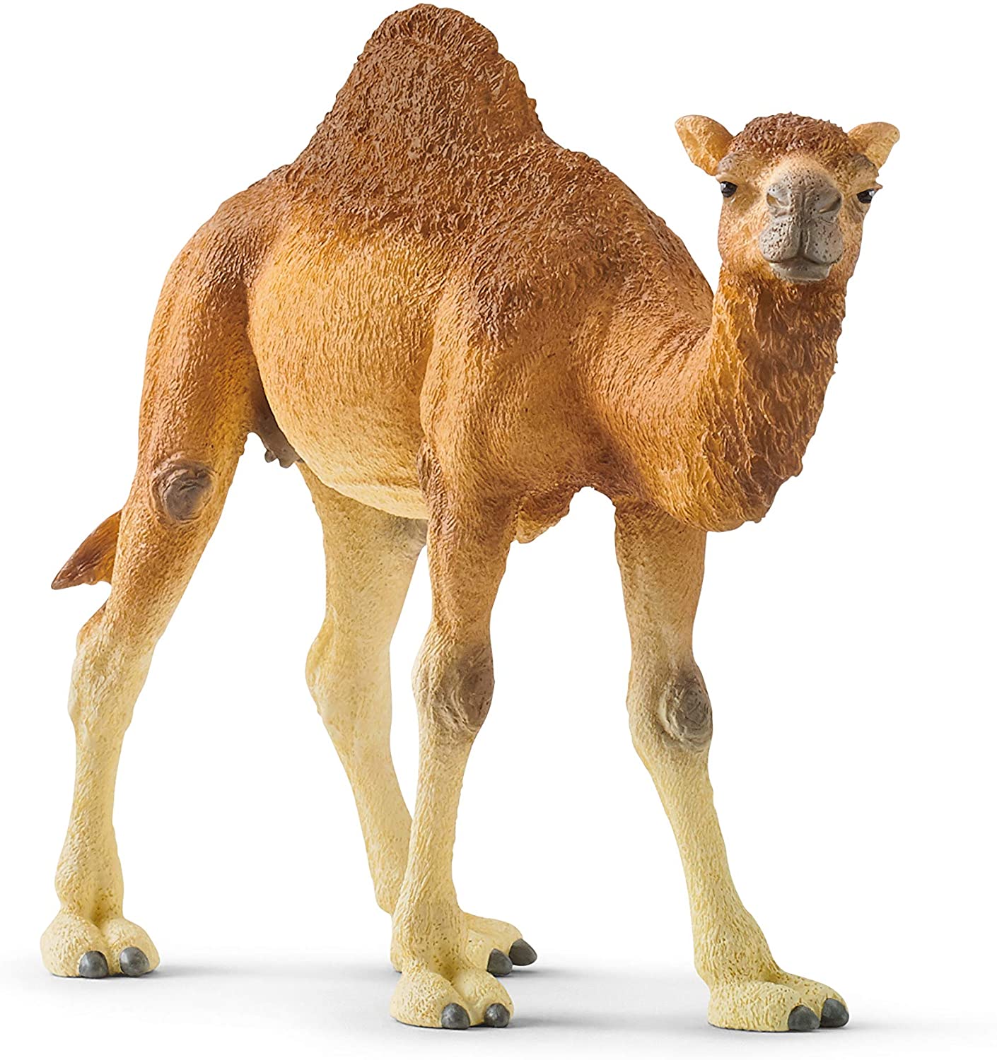 Schleich Dromedry