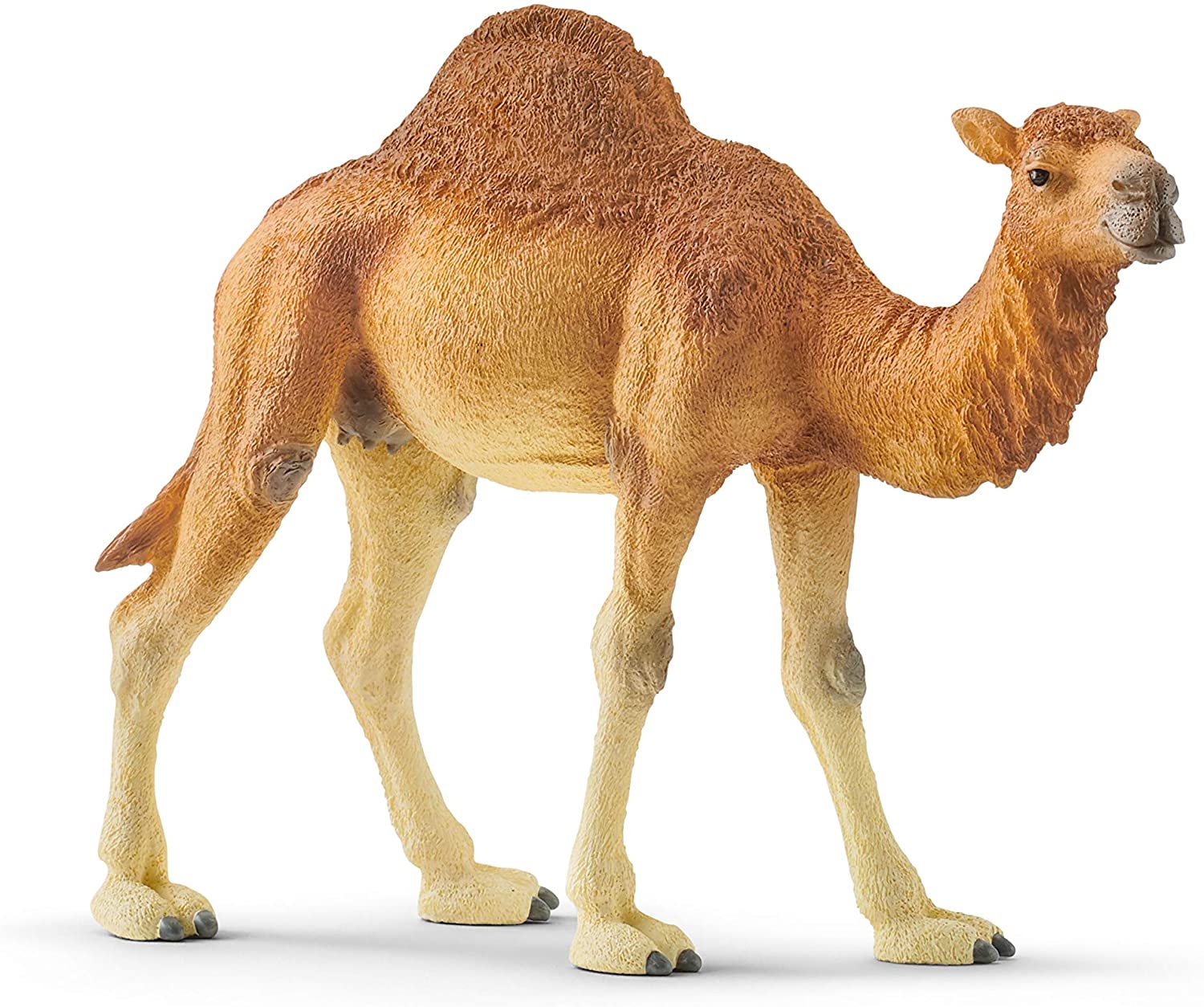 Schleich Dromedry