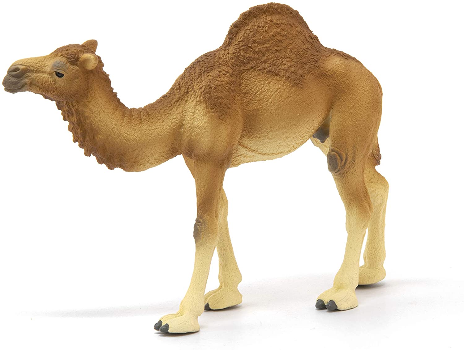 Schleich Dromedry