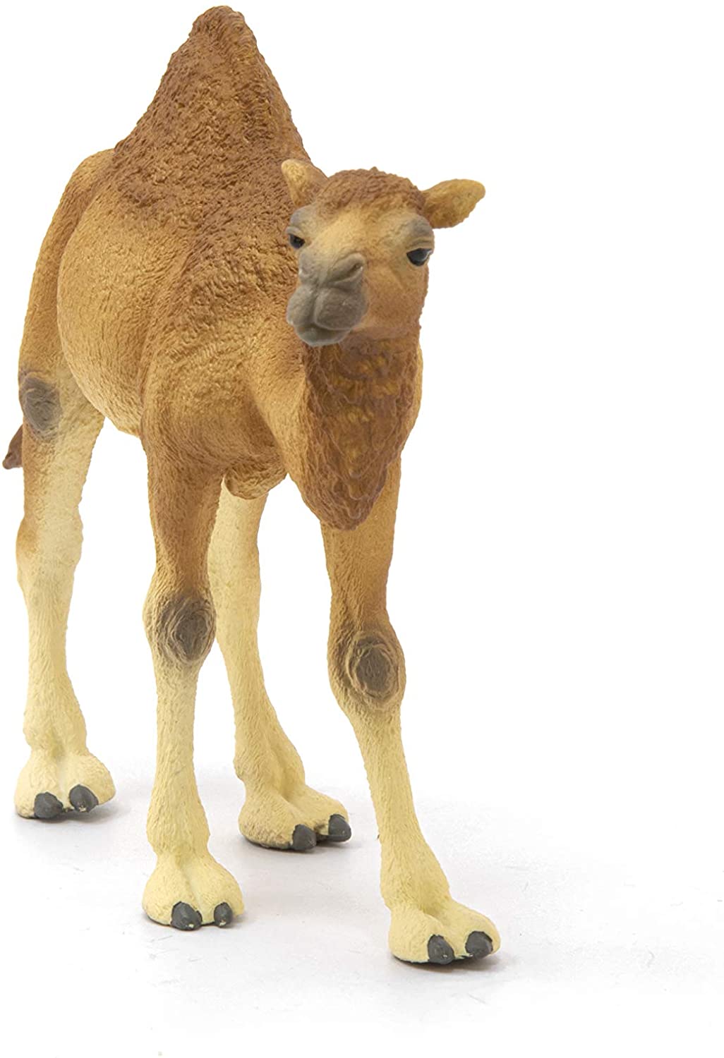 Schleich Dromedry