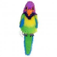 Puppet Plum Headed Parakeet