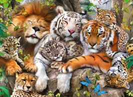 Big Cat Nap XXL 200 Piece Jigsaw
