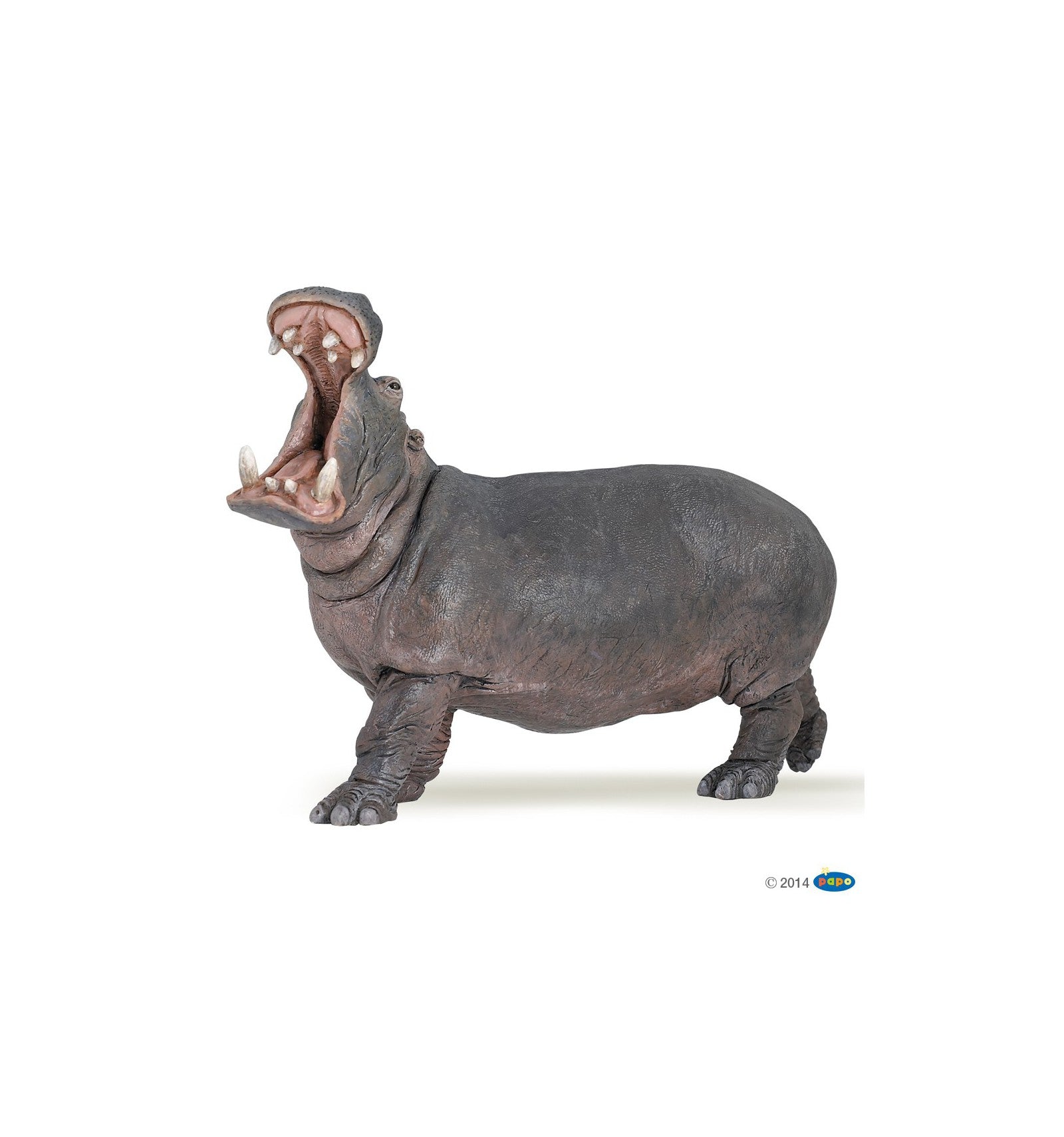 Hippopotamus